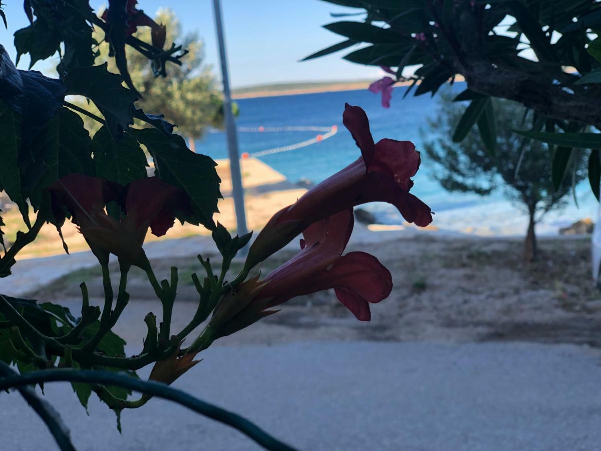 Croatia Mandre Lägenhet Exteriör bild